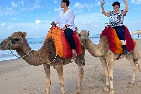 5-Hour Tangier City Tour with Camel Riding