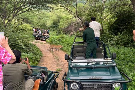 Jaipur Tour with Professional Local Guide