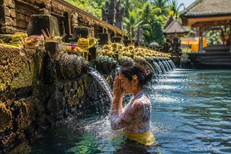 Ubud Waterfalls, Water Temple and Rice Terrace - Private Tour