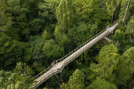 Urban Jungles - Hidden Nature Walks in Auckland