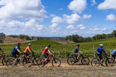 McLaren Vale Wine Tour by E-Bike (Private & Small Group)