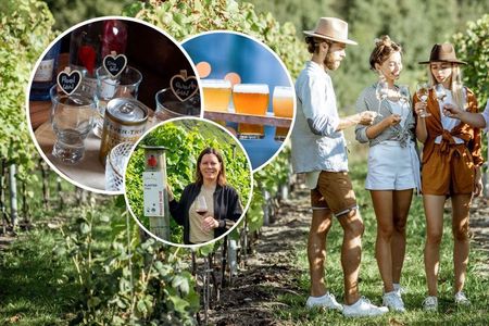Queenstown Afternoon Gin, Wine & Beer Tour | NZ Local Guide