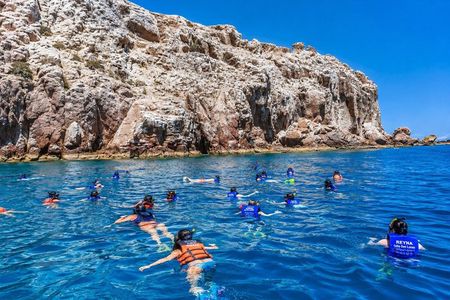 Isla Espiritu Santo, Balandra and Sea Lions All Inclusive