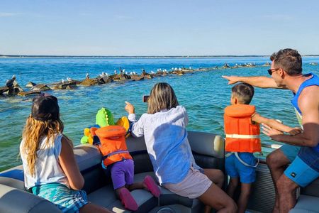 Wellfleet Harbor Seal Cruise Small Group Boat Tour on Cape Cod