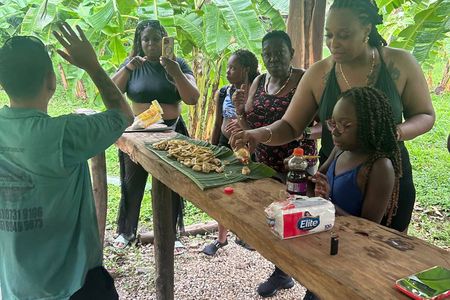 Guanacaste Tropical Farm Tour with Handcrafted Chip Tasting