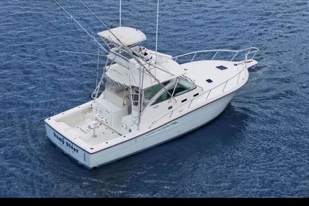 Full Day Big Game Fishing