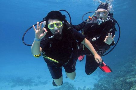 Intro Dive in Hurghada