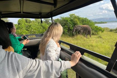 1 Day Akagera National Park Safari experience