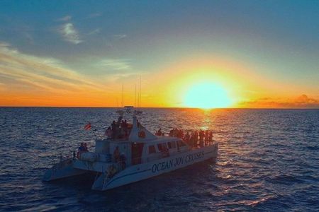 Private and Luxurious Sunset Cruise with Dolphin Watch