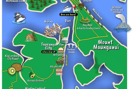 TAURANGA City & Scenic Sightseeing 2-hour Local Bus Tour