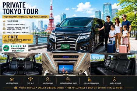Private Tokyo Tour with English Speaking Driver and Hotel Pickup