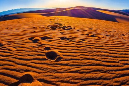 Doha: Sunrise Desert Safari With Dune Bashing & Sand Boarding