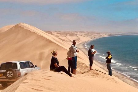 Qatar: Premium Desert Safari With Camel Ride And Dune Bashing