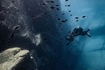 Scuba diving in Sardinia: La Maddalena Archipelago and Lavezzi
