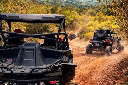 Buggy adventure in the Agafay desert, tea & tasting