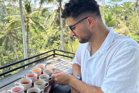 Bali Full Day Customized Private Tours