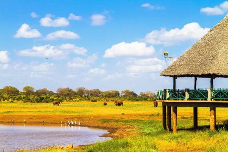 3 Days Safari to Tsavo East National Park from Mombasa