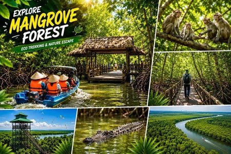 Can Gio: Jungle Trek & Mangrove Wildlife Experience