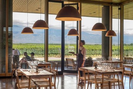 Alfa Crux Winery and Lunch in Piedra Infinita Zuccardi