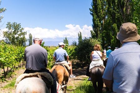 Horseback Riding in Mendoza through the vineyards and river with optional Asado.
