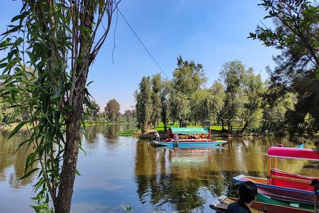 Xochimilco Nature Reserve, Original Doll Island and Axolotls