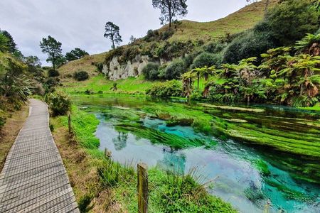 Hobbiton Movie Set & Blue Springs - Small Group Tour Ex Auckland