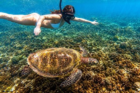 Blue Lagoon Snorkeling with Private Boat, Guide and Transfer