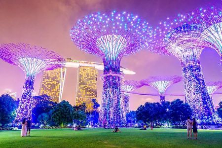 Singapore River Cruise, Night Garden Rhapsody & Spectra by LRDT