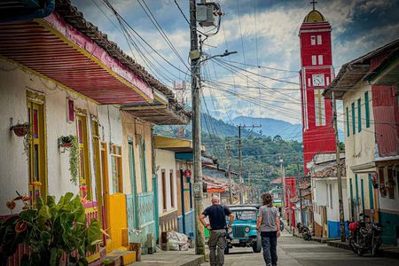 Coffee Region Hidden Gems: Coffee Farm, Pijao & Buenavista