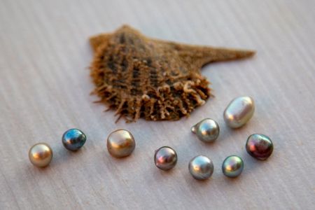La Paz: Pearl Farm Experience and shop