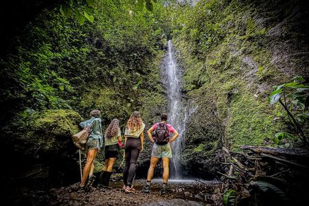 Howler Monkey Experience: Nature, Filandia & Local Flavors