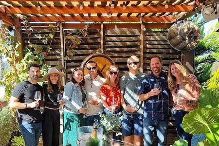 Wine Tasting Tour ONLY for Cruise Ship Visitors. ALL INCLUSIVE!