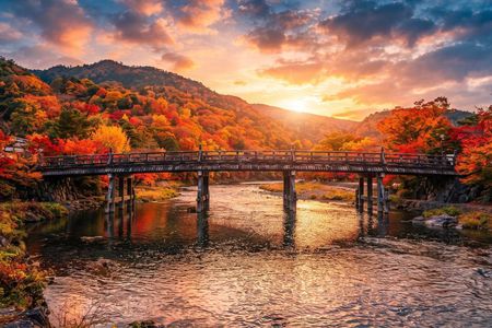 Kyoto Private Tour Early Morning Arashiyama Bamboo Forest