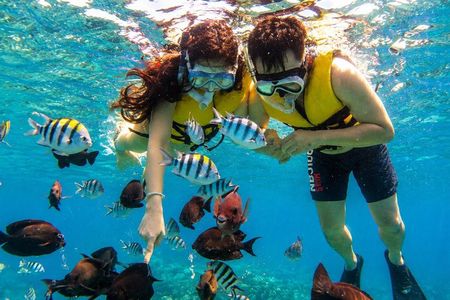 Lovina Family Adventure Dolphins, Sunrise and Snorkeling