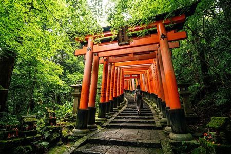 Tokyo: Nezu Shrine & Yanaka Old Town Walking Tour