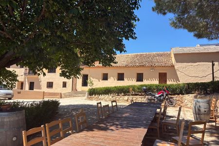 La Vendimia Bobal Harvest Experience in Requena