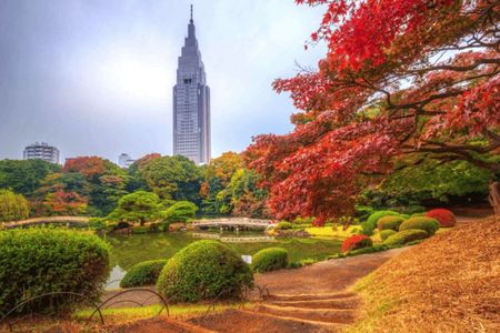 Tokyo Shinjuku Guided Walking Tour with Gyoen Garden Ticket