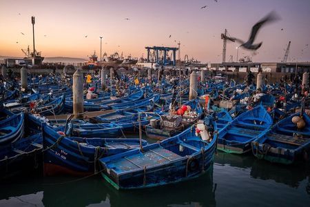 The Coastal Odyssey : Essaouira Day Trip from Marrakech