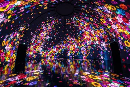 Tokyo Private Tour: teamLab Planets & Tsukiji Market