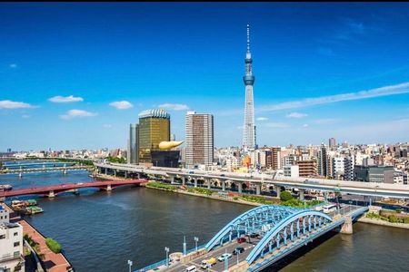 Tokyo Full Day private tour with English Guide
