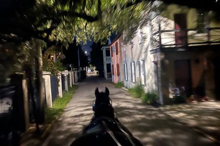 St Augustine Private Horse-Drawn Carriage Ghost Tour