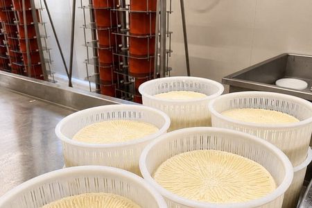 Cheese Factory Tour Wine Pairing