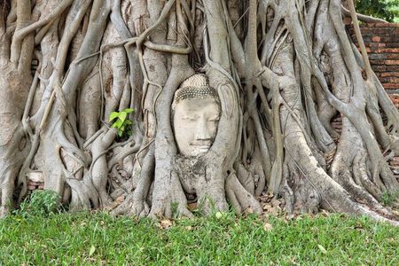 Ayutthaya and Boat Tour Customizable