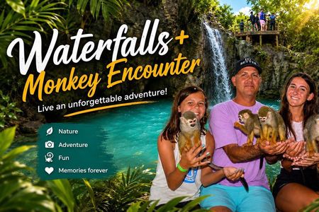 Monkey Tour and 7 Waterfalls Damajagua (Puerto Plata)