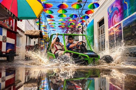 City Tour and Dune Buggy