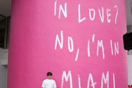 See it All in One Tour!! 6hr VIP Full Experience of Miami!!