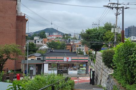 Seoul Insider: Highlights & Hidden Gems Private Walking Tour