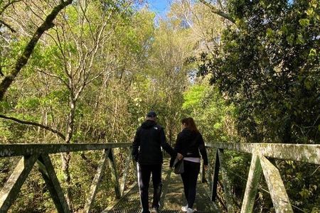 Bathing in the Forest Trail in Foz do Iguaçu