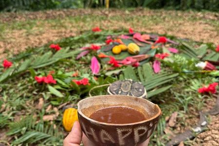 Private Experience of Cocoa Forest Bath Ceremony Therapy