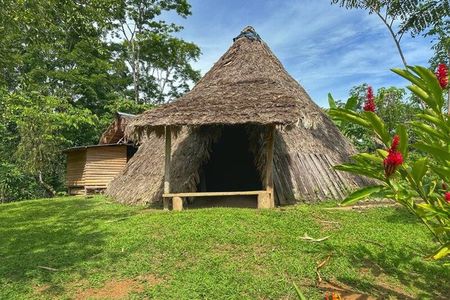 Tour Shaman medicinal plants and waterfalls